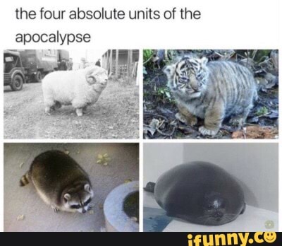 the four absolute units of the
apocalypse