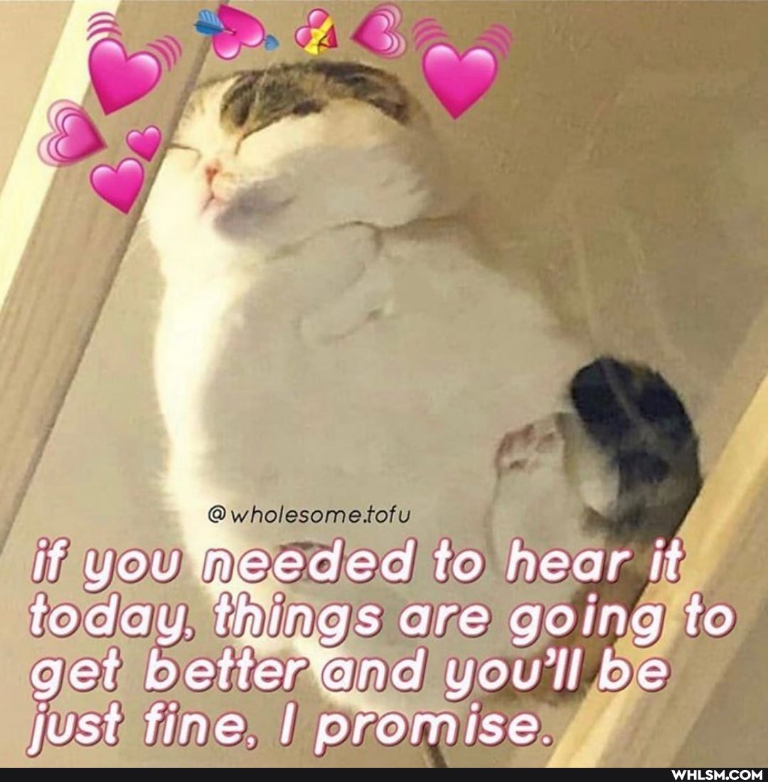 @wholesometofu
if you heeded to hear ii today things are going to get and you'll be just fine. I promise.