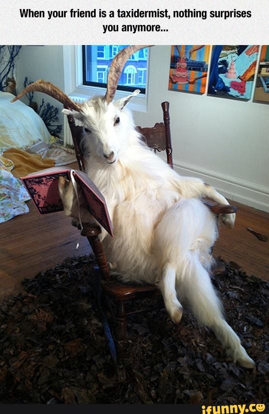 When your friend is a taxidermist, nothing surprises
you anymore...