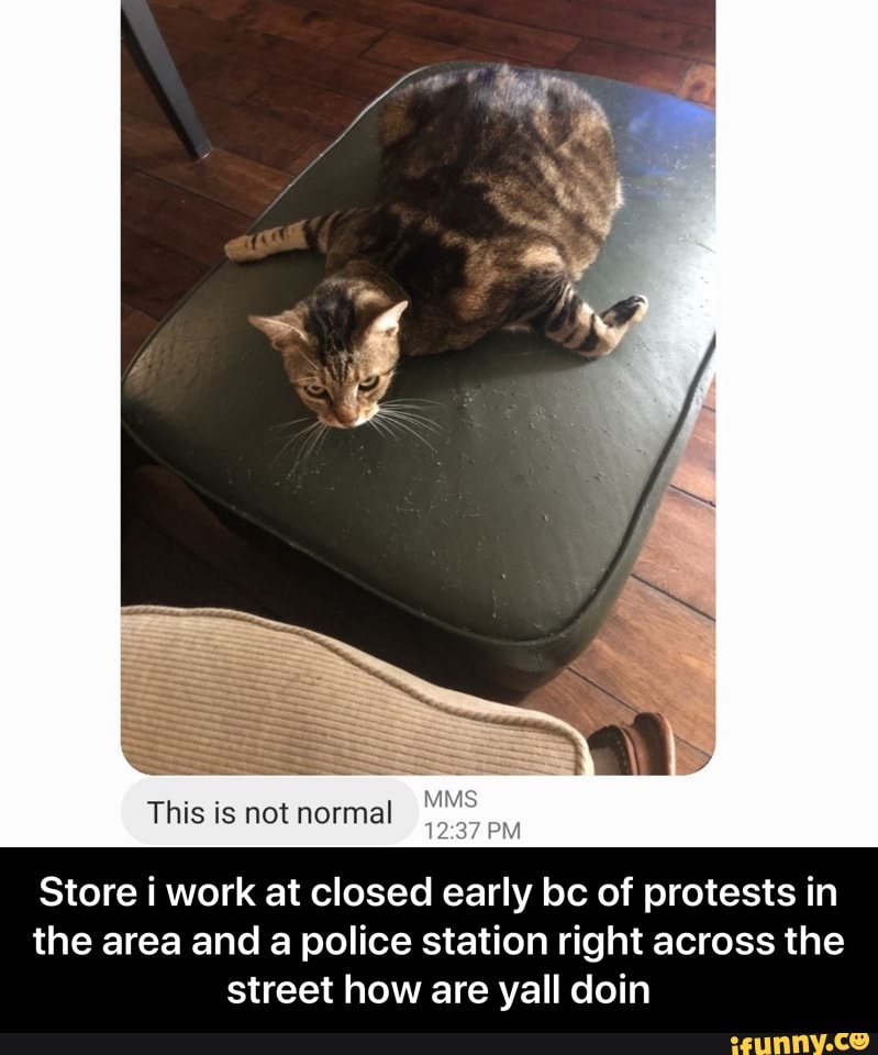 Store i work at closed early bc of protests in
the area and a police station right across the
street how are yall doin - Store i work at closed early bc of protests in the area and a police station right across the street how are yall doin