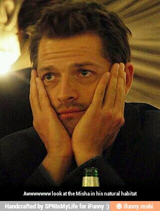 Awwwwwww look at the Misha in his natural habitat