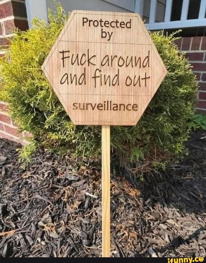 Protected By Fuck Around And Find Out Surveillance Ifunny