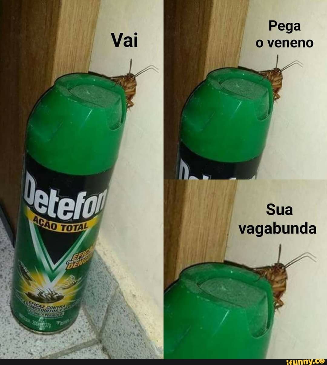 Pega o veneno
vagabunda