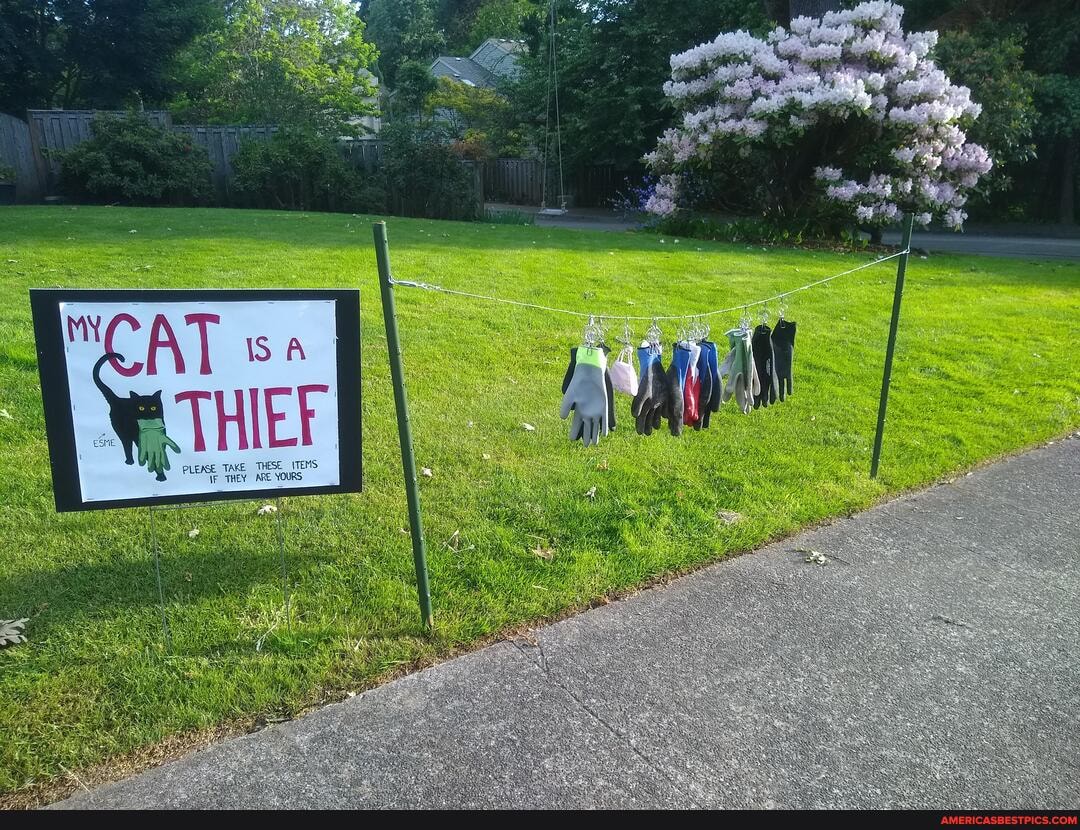 PLEASE TAKE THESE ITEMS
\F THEY ARE YOURS