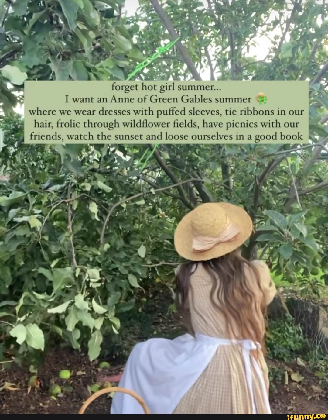 Picnics memes. Best Collection of funny Picnics pictures on iFunny