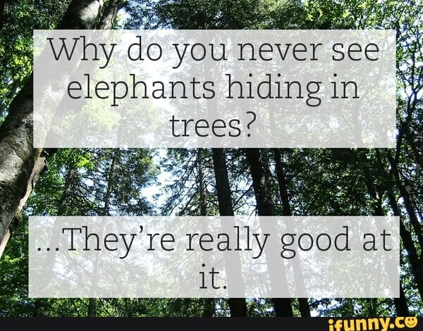 You elephants in do hiding trees never see why Best Funny