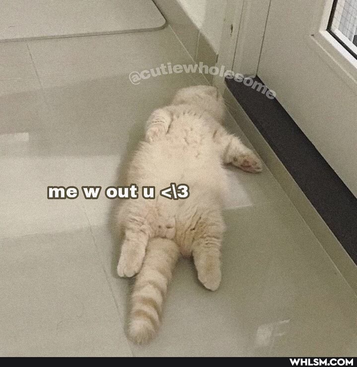me w out u <\3