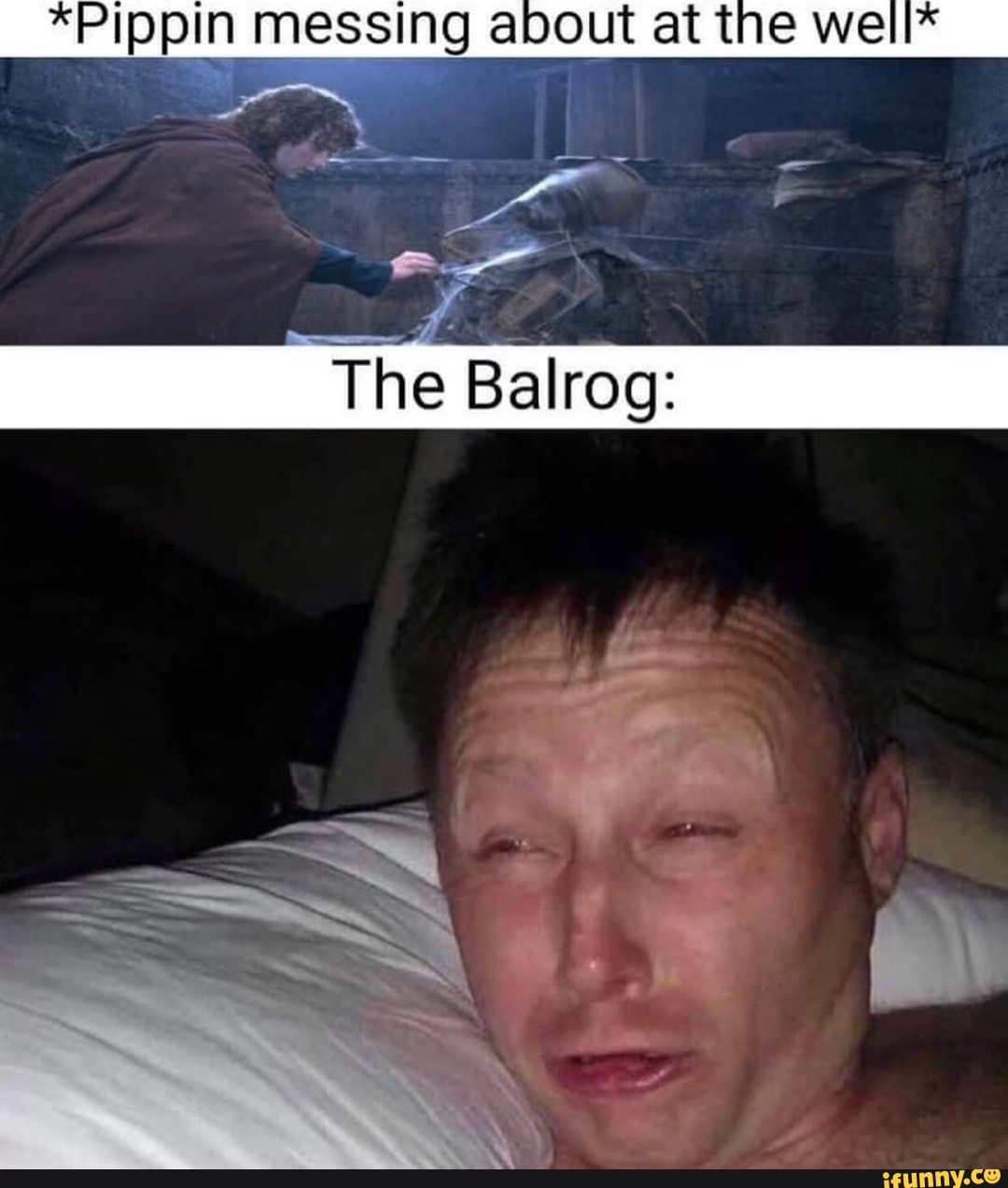 Pippin messing about at the well* The Balrog: - iFunny