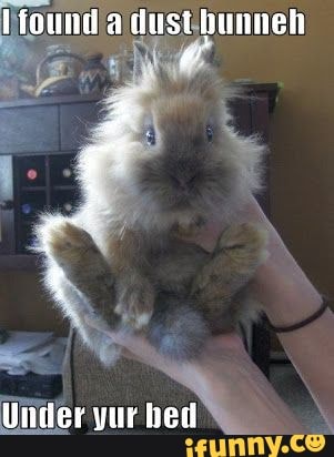 {found dust bunnen
Under yur bed