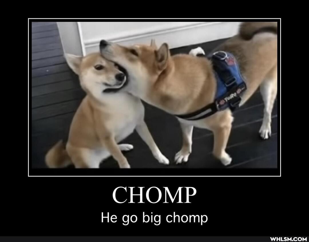 CHOMP
He go big chomp