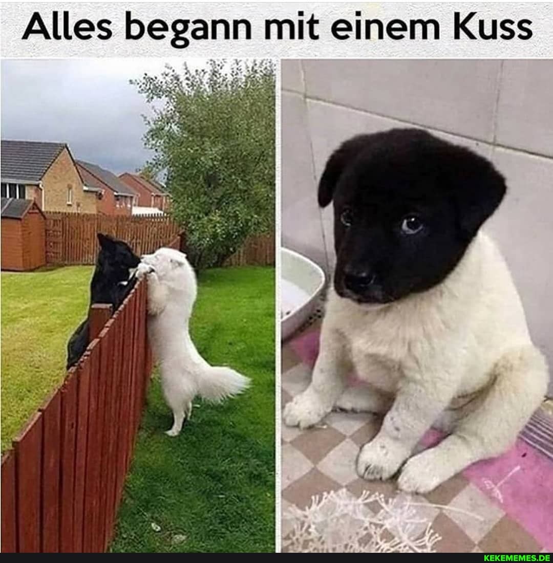 Alles begann mit einem Kuss