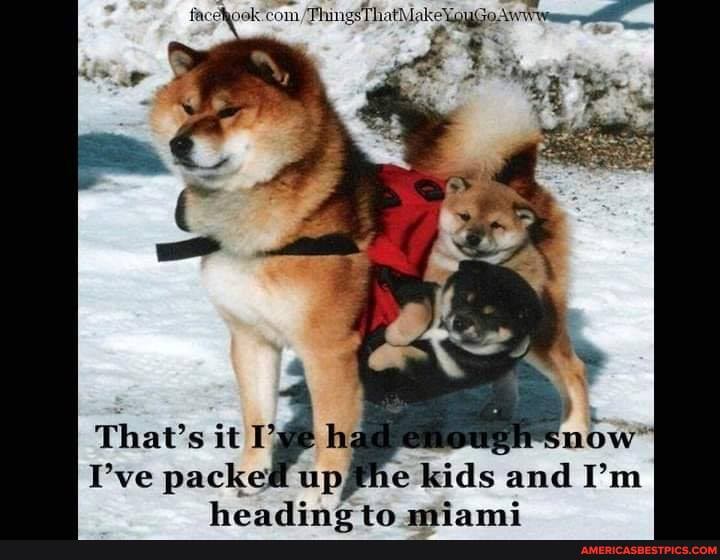 facchook-com
That's it hg
I've packed upgfme kids and I'm
haadingtn miami