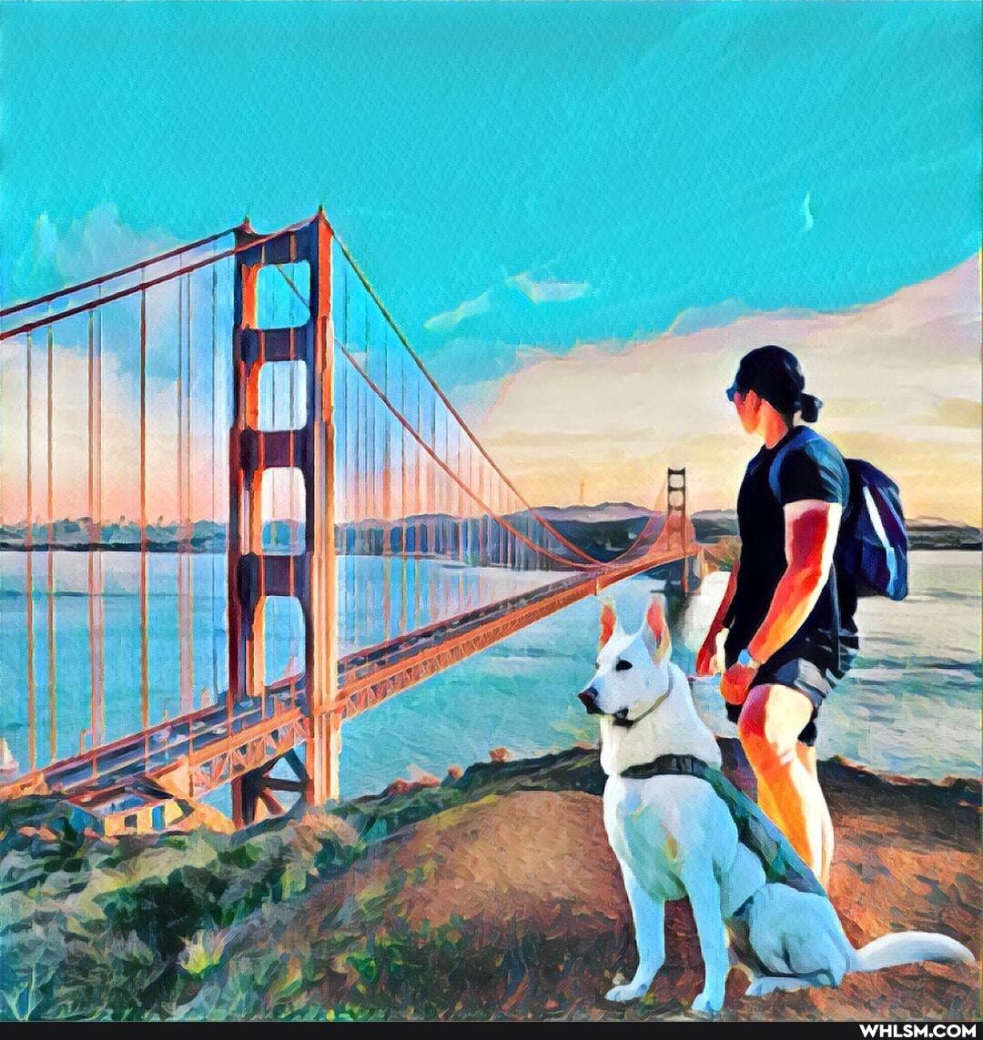 art, photography, dog, puppy