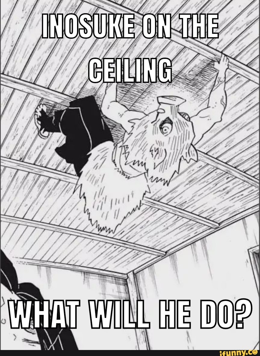 Inosuke on the ceiling what will he do ifunny brazil
