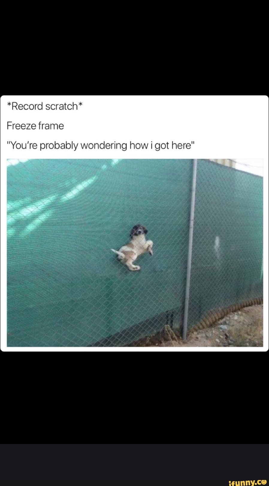Freeze Frame You're Probably Wondering How I Got Here Freeze frame "You’re probably wondering how i got here" - iFunny :)