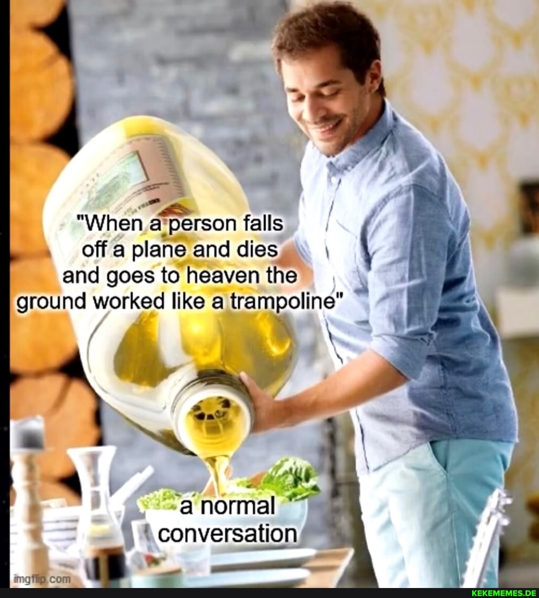 "When {Person falls
off a plane and dies \ and goes to heaven the ground worked like a trampoline"
"a normal
(conversation,
img flip, com