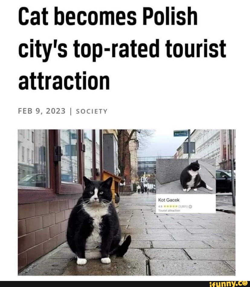 cat poland tourist attraction