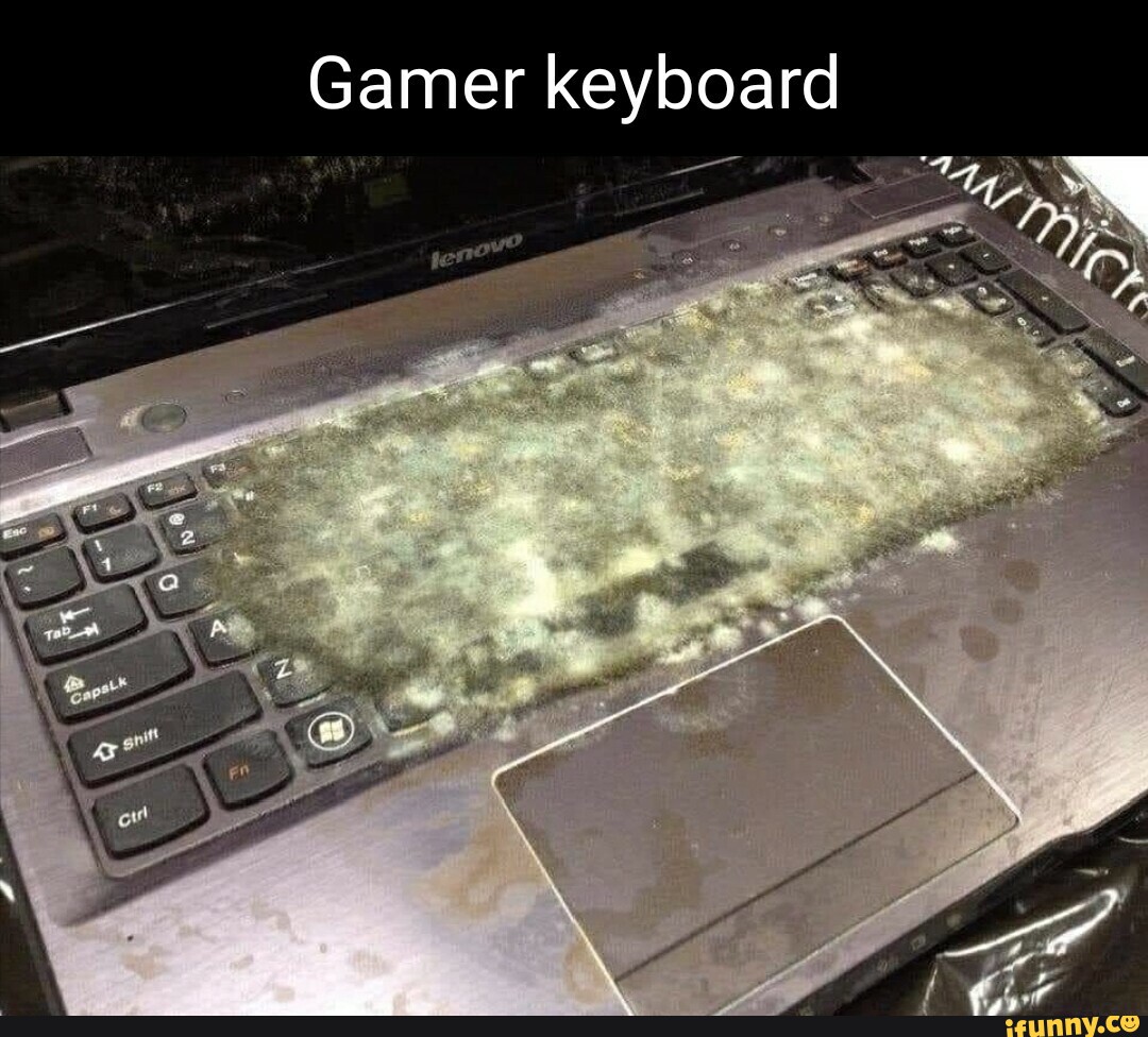 Keyboard memes. Best Collection of funny Keyboard pictures on iFunny