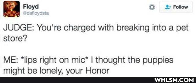 JUDGE: You're charged with breaking into a pet store?
ME: "lips right on mic* I thought the puppies