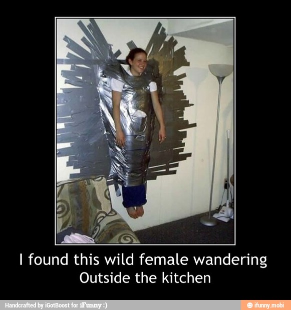 I found this wild female wandering
Outside the kitchen - I found this wild female wandering
Outside the kitchen