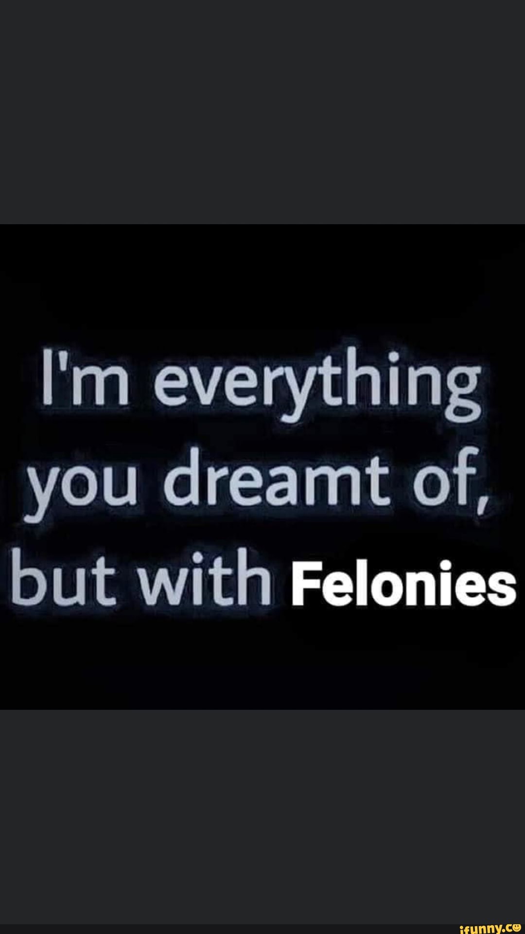 I'm everything you dreamt of, but with Felonies
