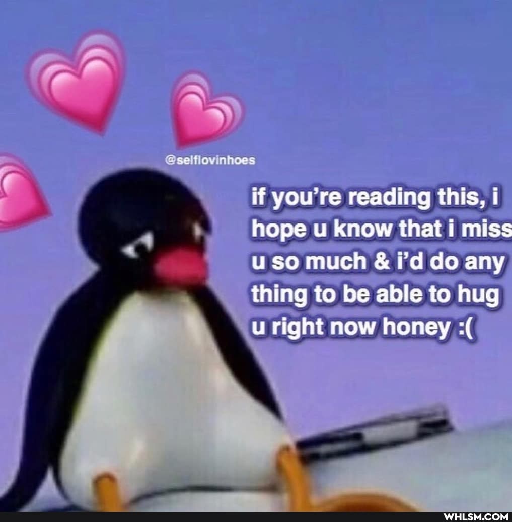 @selflovinhees
if you're reading this, I hope u know that i miss much thing to be able to hug u right now honey