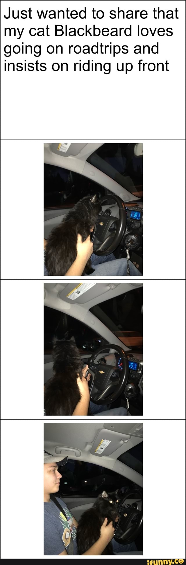 Just wanted to share that
my cat Blackbeard loves
going on roadtrips and
insists on riding up front