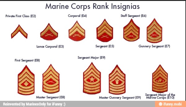 Marine Corps Rank Insignias Private First Coss (€2) Corporal (E4) Sia ...