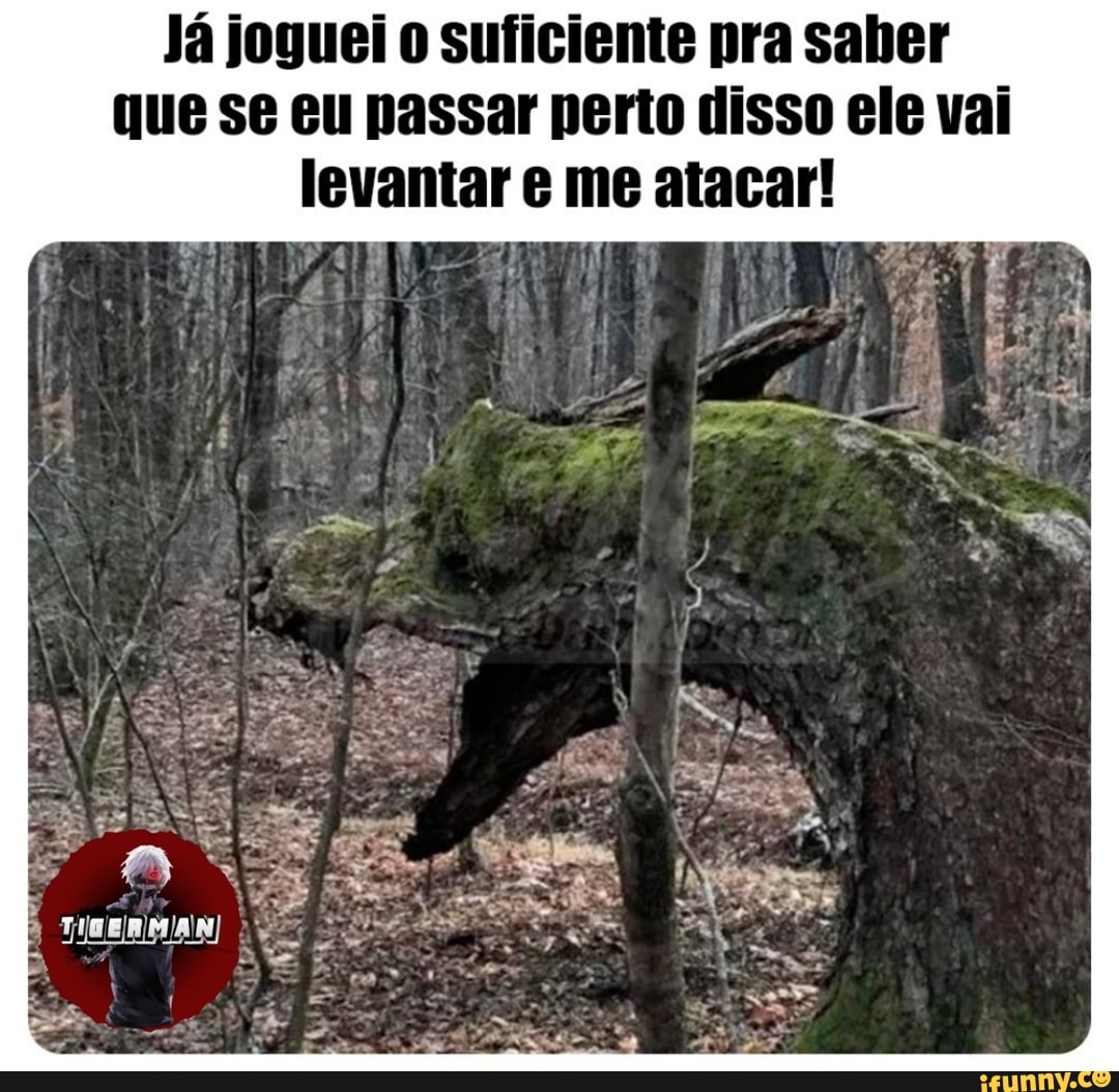 Já joguei suficiente pra saber que se eu passar perto disso ele vai levantar e me atacar