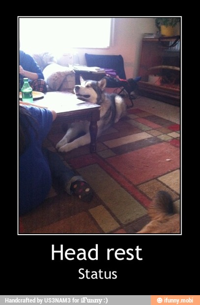 Head rest
Status - Head rest
Status