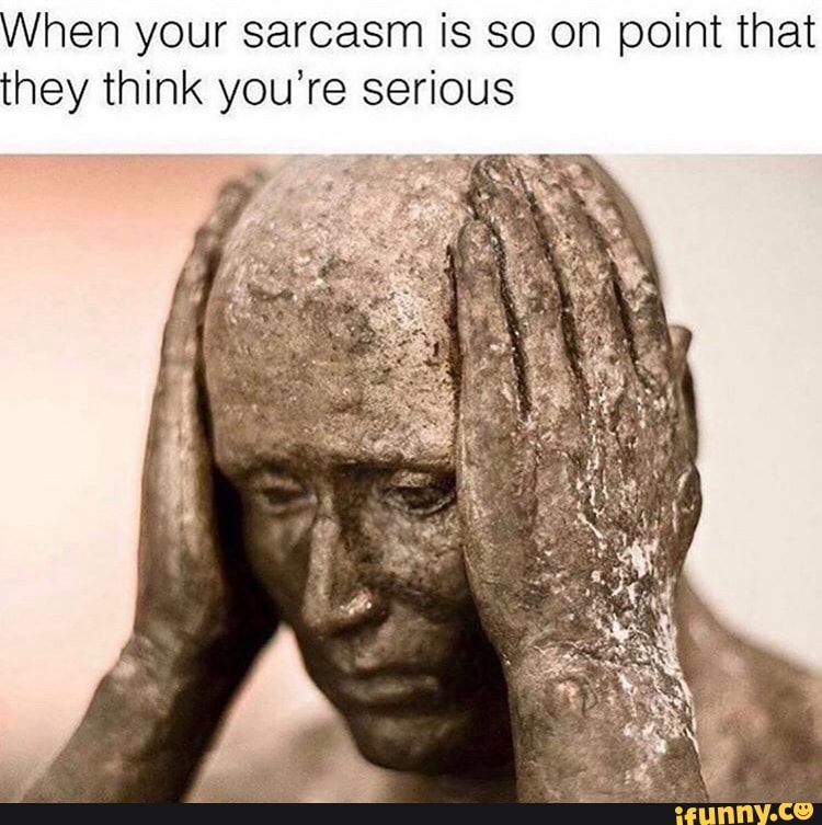 When your sarcasm is so on point that they think you're serious