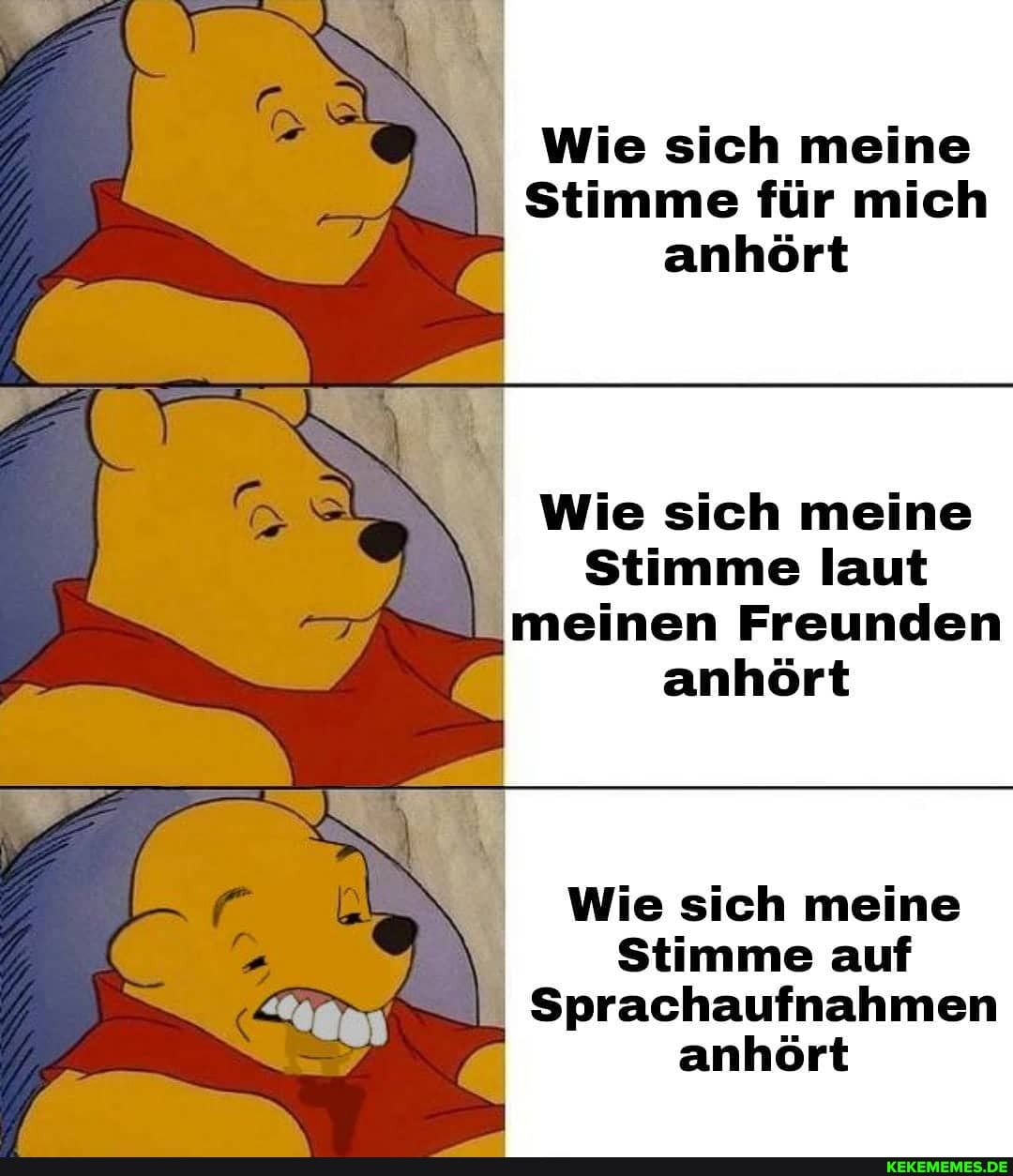 Wie sich meine
Stimme für mich anhört
Wie sich meine
Stimme laut meinen Freunden anhört
Wie sich meine
Stimme auf
Sprachaufnahmen anhört