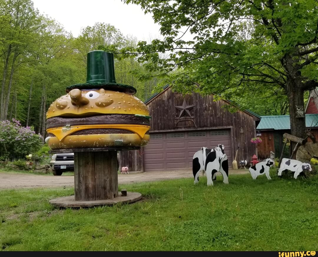 Yard_art memes. Best Collection of funny Yard_art pictures on iFunny