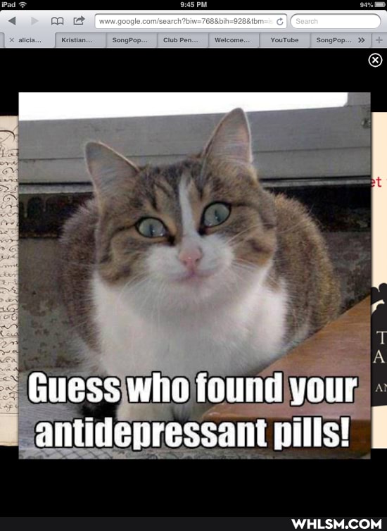 Guess who found your antidenressani pills!