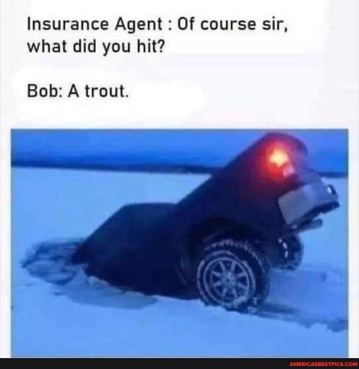 Insurance Agent : Of course sir, what did you hit?
Bob: A trout.