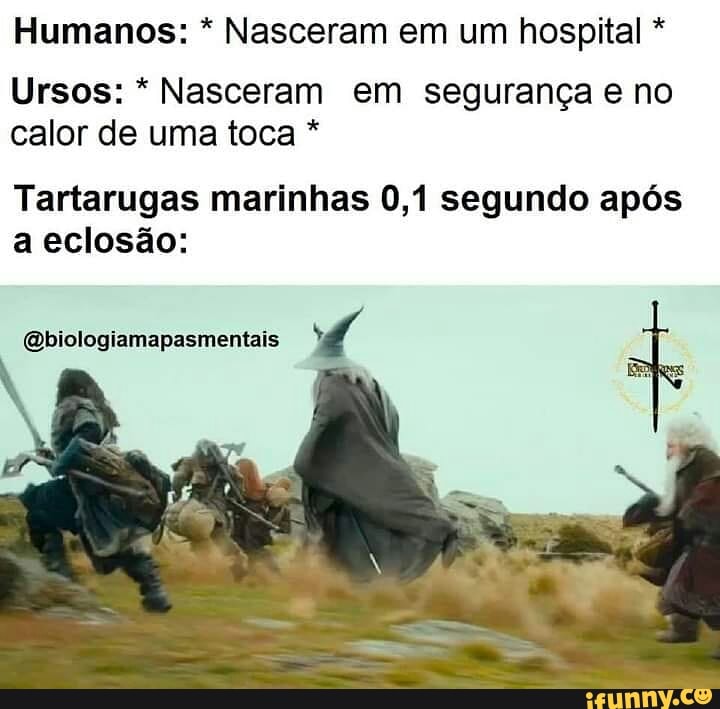 Humanos: * Nasceram em um hospital *
Ursos: * Nasceram em segurança e no calor de uma toca *
Tartarugas marinhas 0,1 segundo após a eclosão:
mentais)