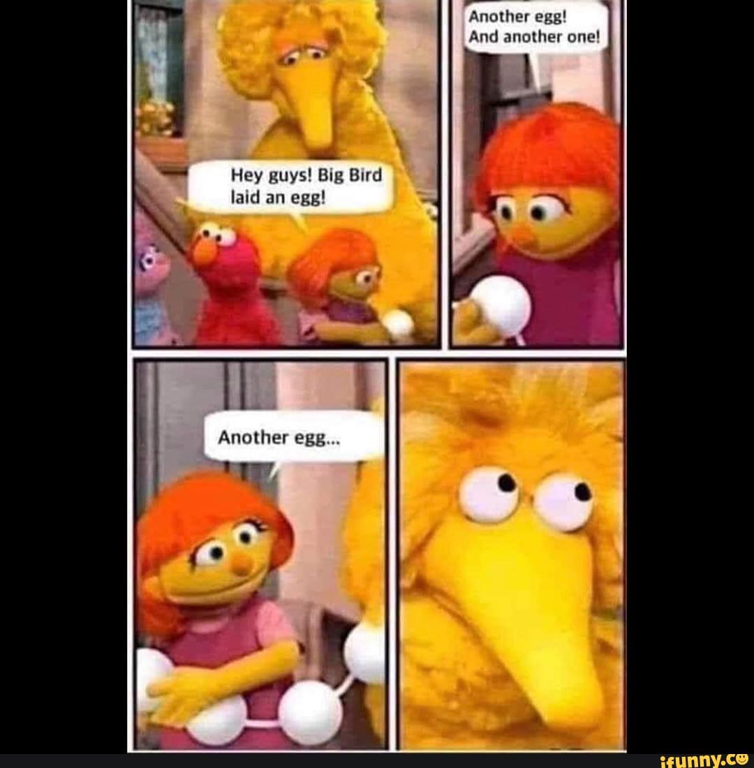 Another egg!
And another one!
Hey guys! Big Bird laid an egg!