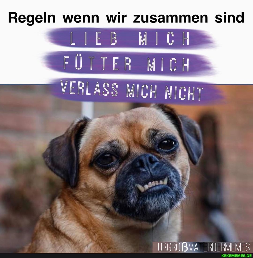 Regeln wenn wir zusammen sind
LIEB MICH
FÜTTER MICH VERLASS MICH NICHT