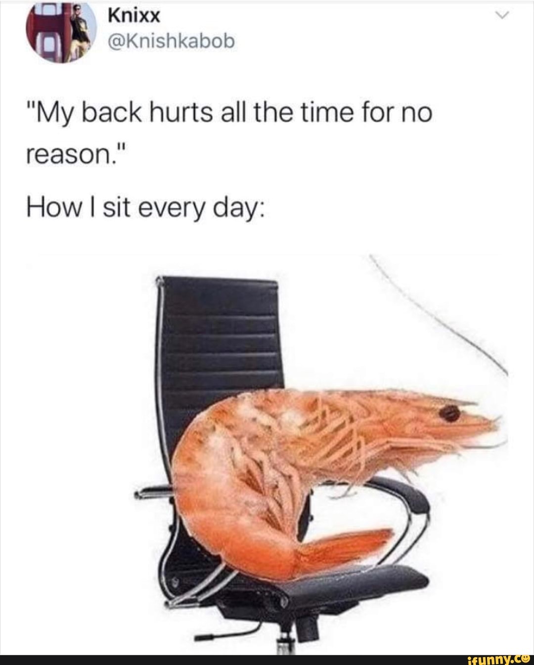 Knixx
@Knishkabob
"My back hurts all the time for no reason."
How I sit every day:
