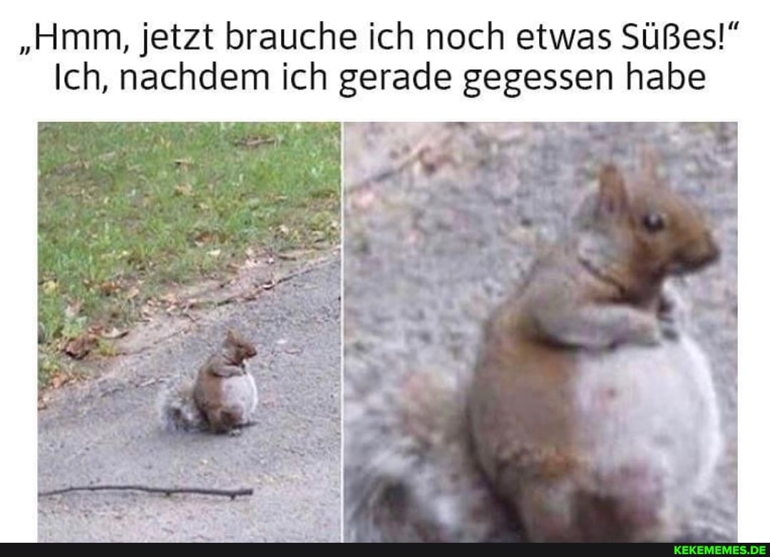 "Hmm, jetzt brauche ich noch etwas Süßes!"
Ich, nachdem ich gerade gegessen habe