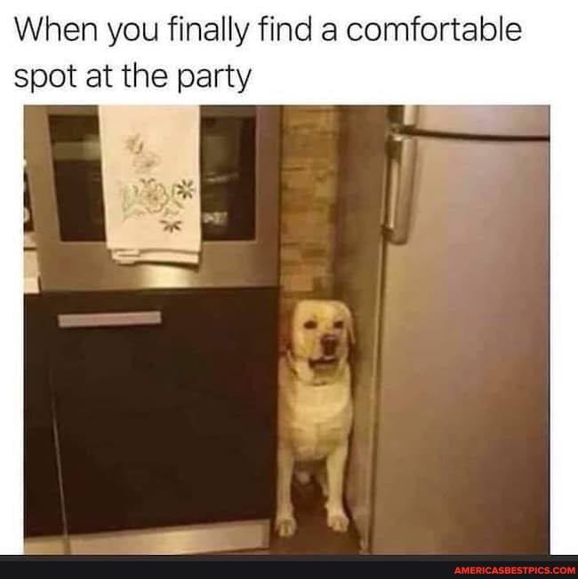 When you finally find a comfortable spot at the party