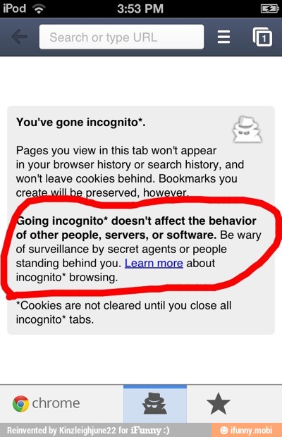 you-ve-gone-incognito-o-pages-you-view-in-this-tab-won-t-appear-in