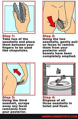 case, point, using, sea, shells, follow, instr