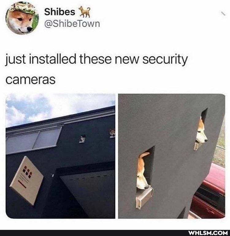Shibes
@ShibeTown
just installed these new security cameras