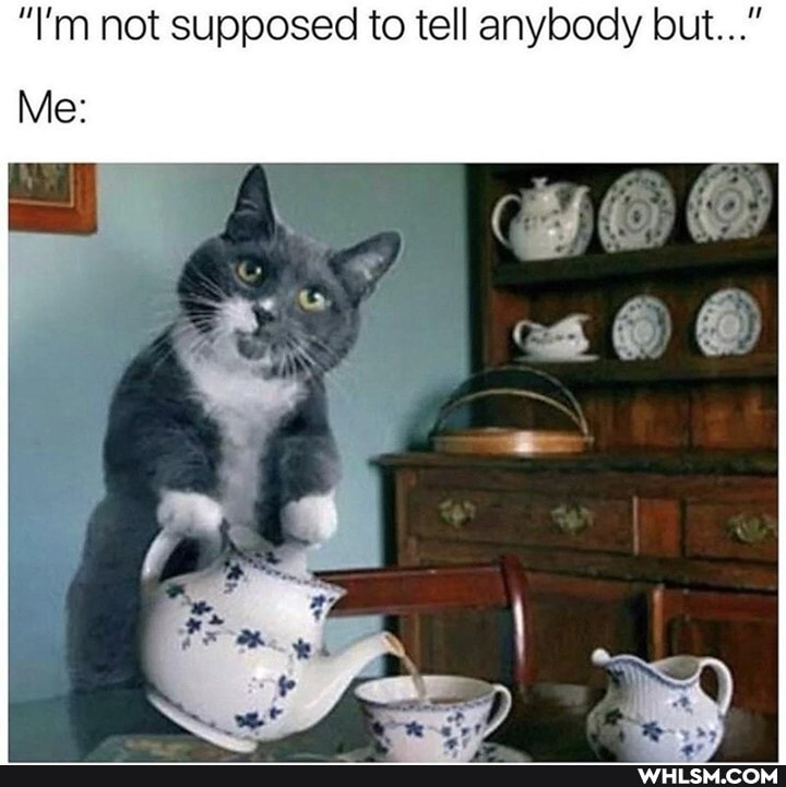 "I'm not supposed to tell anybody but..."
OO
Me: