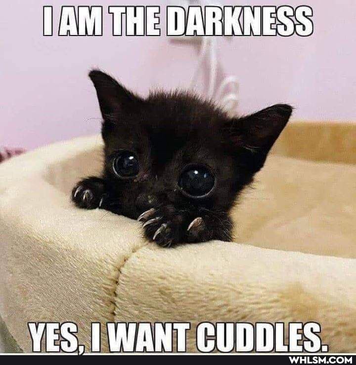 LAM THE DARKNESS
VE@ LIFANT