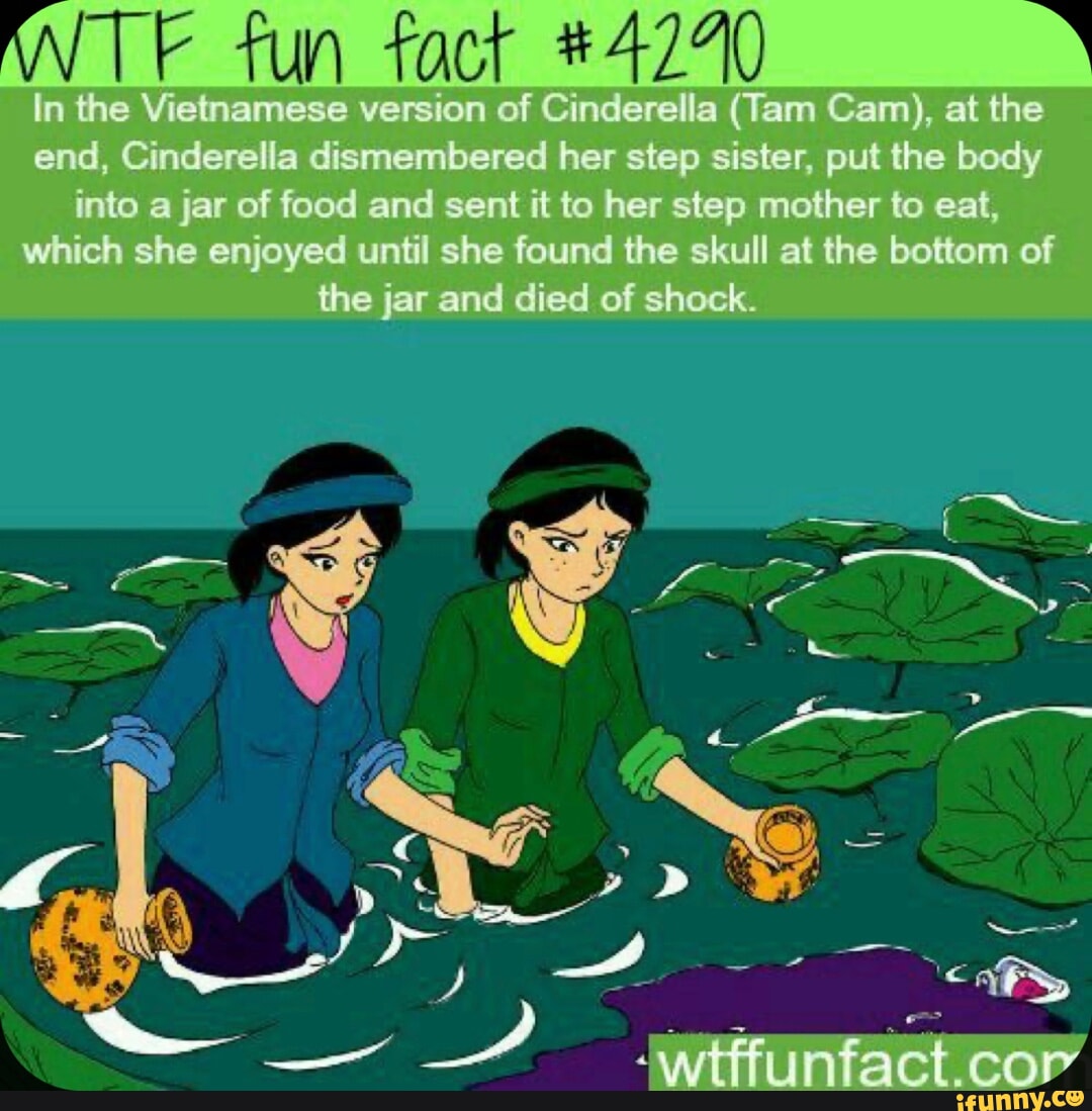 Her step. Funny facts. Fun tams. Vietnam funny logo. Vietnam memes funny.