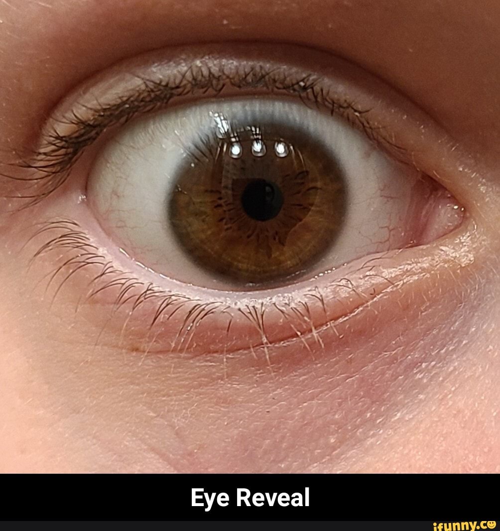 Or,
Eye Reveal - Eye Reveal