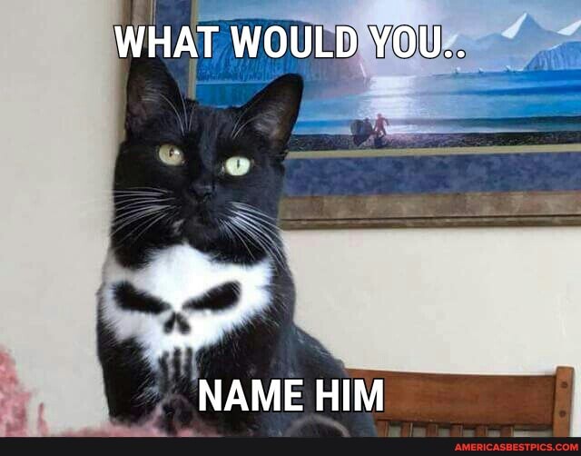 WHAT WOULD YOU..
NAME HIM