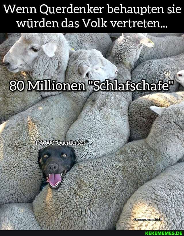 Wenn Querdenker behaupten sie würden das Volk vertreten...
80 Millionen "Schlafschafe"
100,009 "Qwerrlenker"